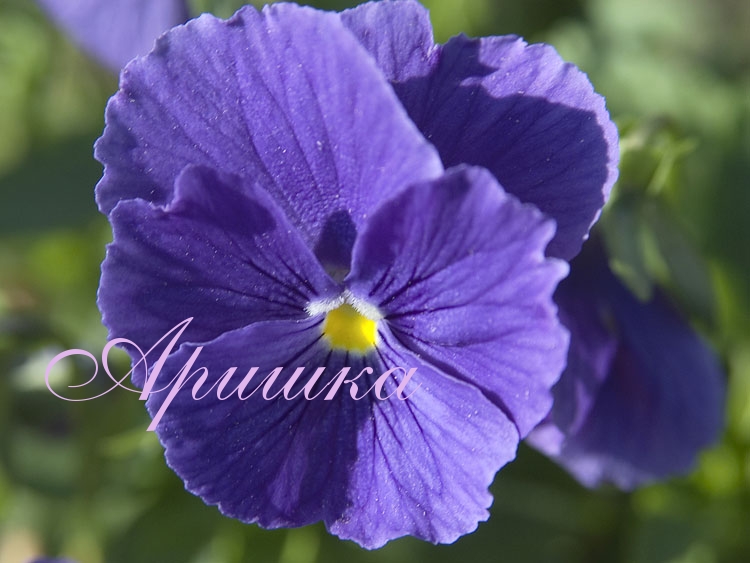 �������� � ������� ������