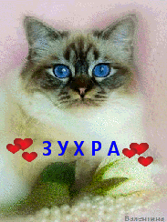 ��������: �����