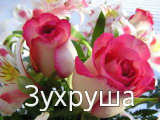 ��������: �����