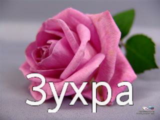 ��������: �����