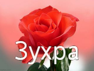 ��������: �����