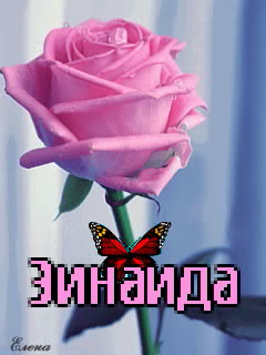 ��������: ����