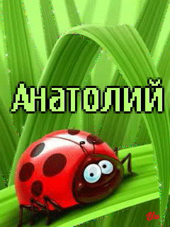 ��������: ��������
