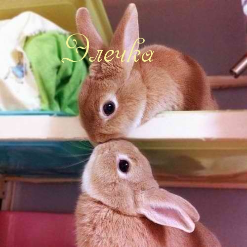 �������� � ������� ������
