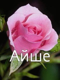 �������� � ������� ����