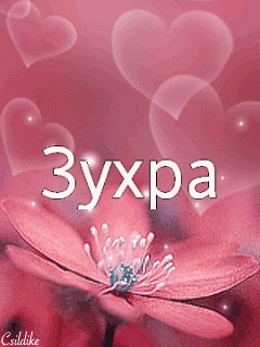��������: �����