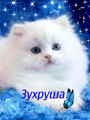 ��������: �����