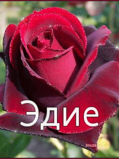 ��������: ����