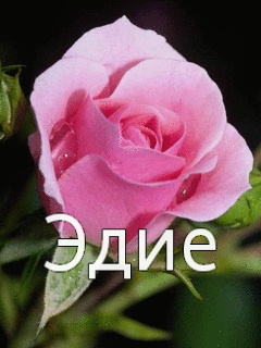 ��������: ����