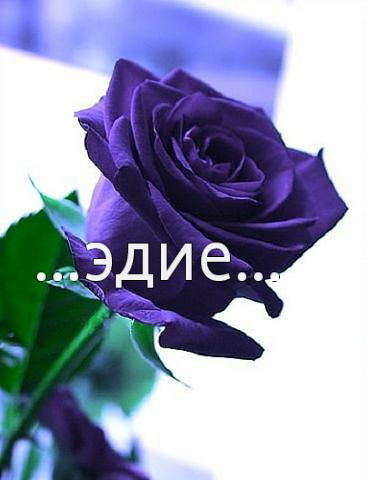 Картинка: Эдие