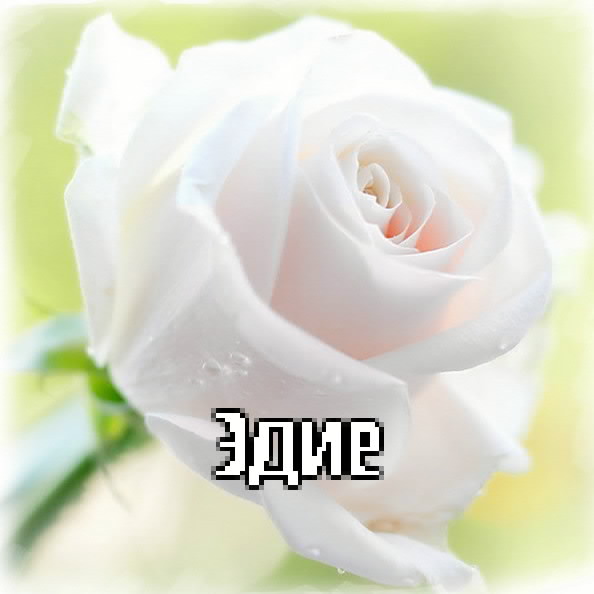 Картинка: Эдие