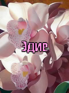 ��������: ����