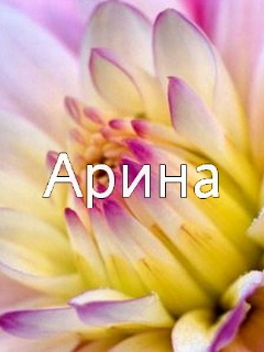 �������� � ������� �����