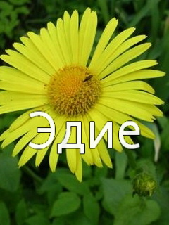 ��������: ����
