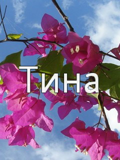 �������� � ������� ����