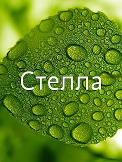 �������� � ������� ������