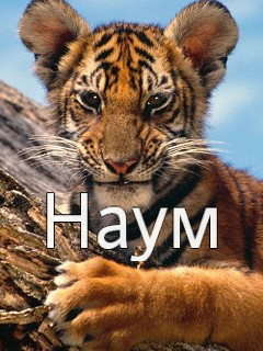 �������� � ������� ����