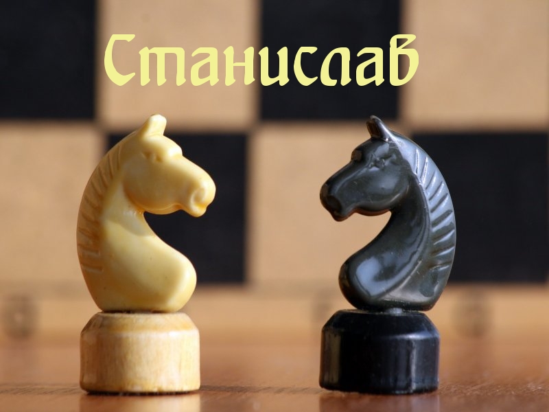 ��������: ���������