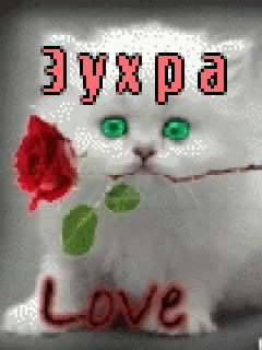Картинка: Зухра