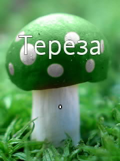 �������� � ������� ������