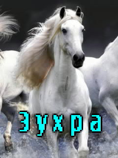 ��������: �����