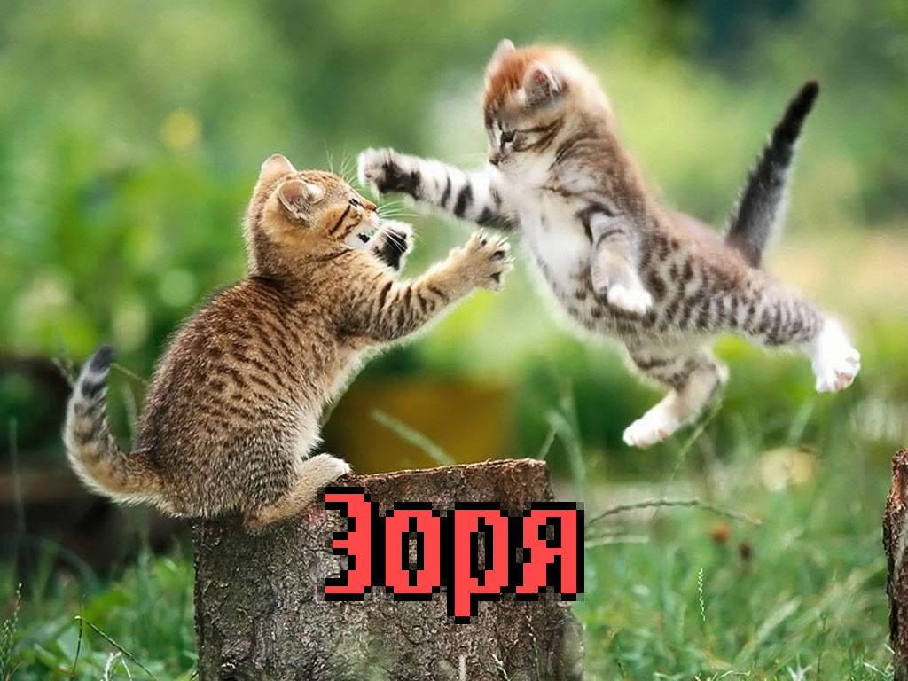 �������� � ������� ����