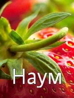 �������� � ������� ����