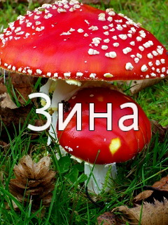 ��������: ����