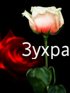 ��������: �����