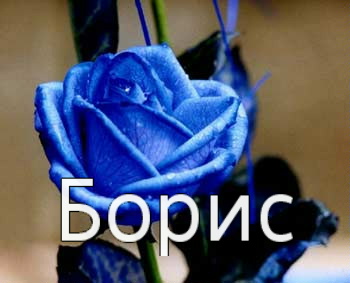 �������� � ������� �����
