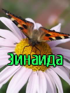 Картинка: Зинаида