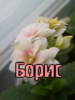 �������� � ������� �����