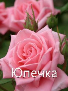 Картинка: Юлечка