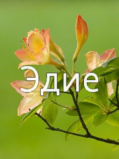 Картинка: Эдие