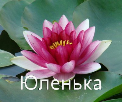 Картинка: Юленька