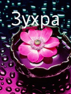 ��������: �����