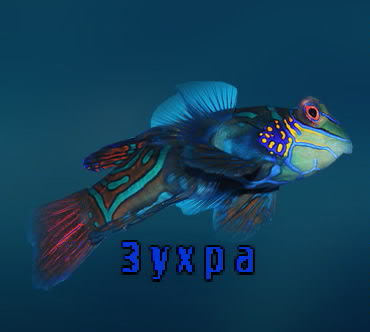 ��������: �����