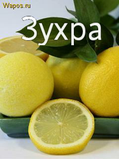 Картинка: Зухра