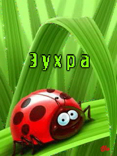 Картинка: Зухра