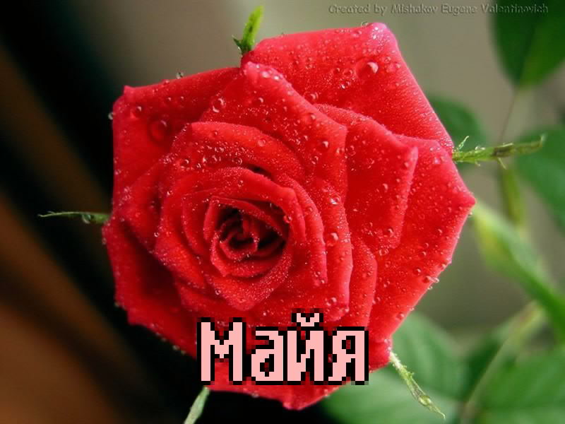 �������� � ������� ����