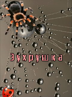 ��������: ��������