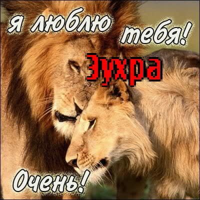 ��������: �����, ����� ���� �����!
