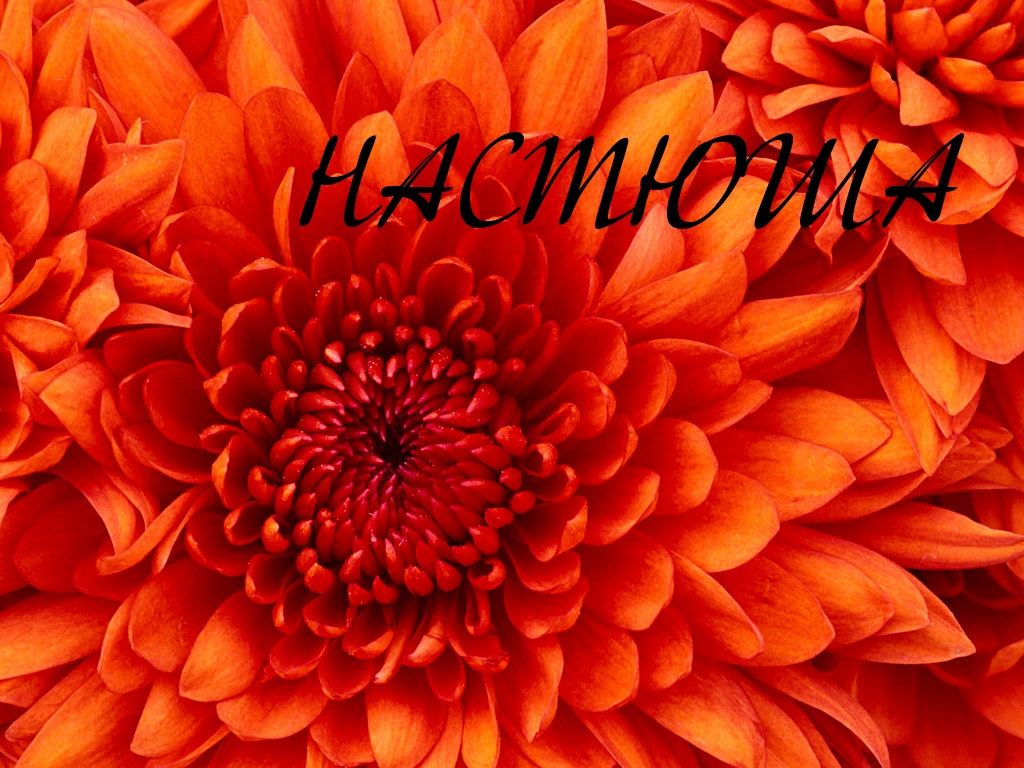 ��������: �������