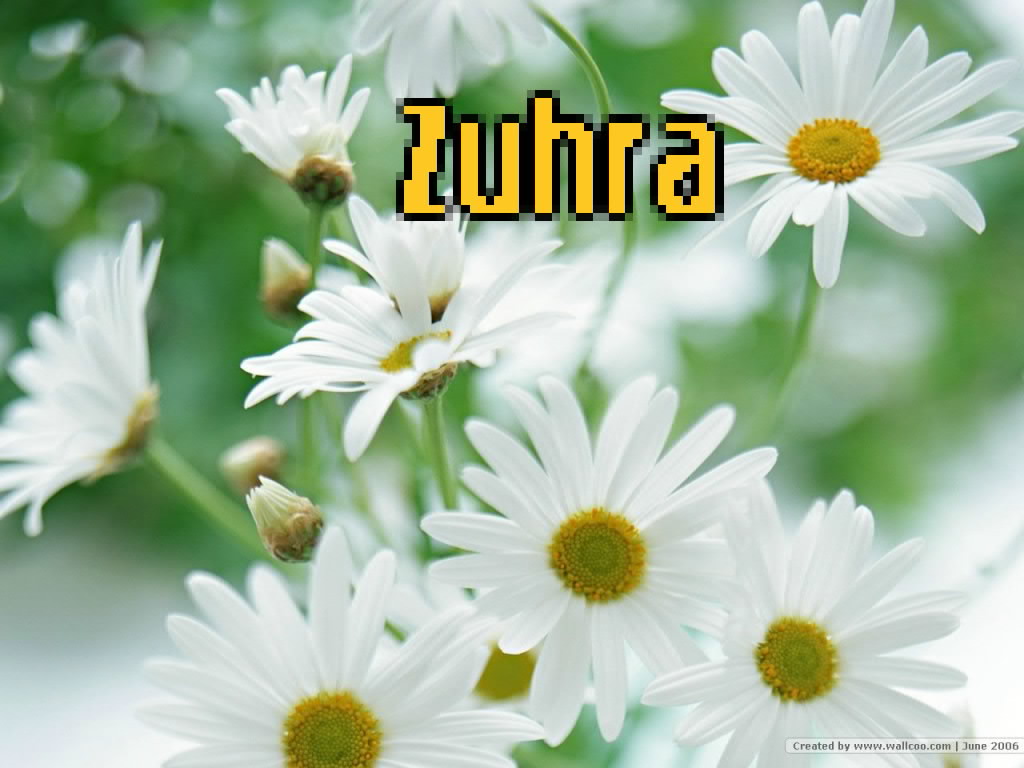 Картинка: Зухра