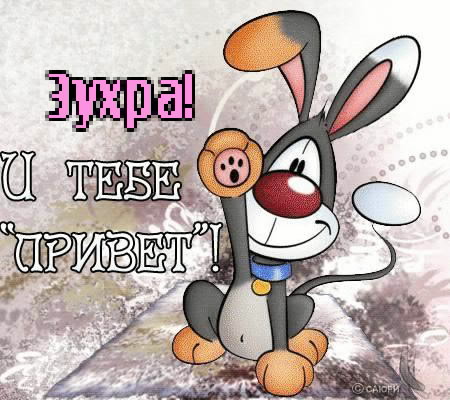 Картинка: Зухра, и тебе привет!