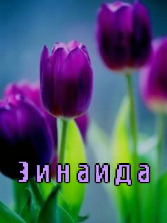 Картинка: Зина