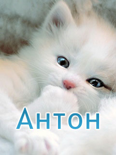 �������� � ������� �������