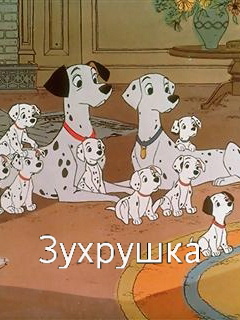 Картинка: Зухрушка