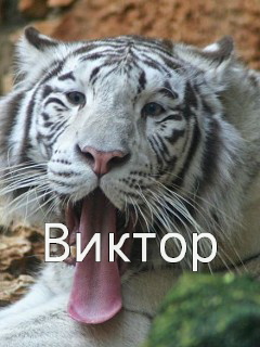 �������� � ������� ������