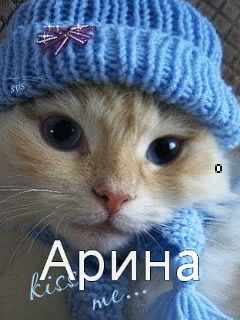 �������� � ������� �����